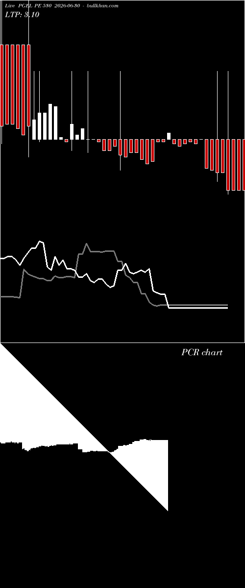  option chart PGEL PE 530 2026-06-30 