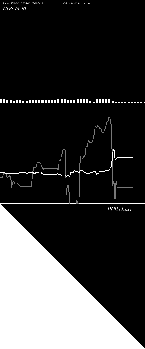  option chart PGEL PE 540 2025-12-30 