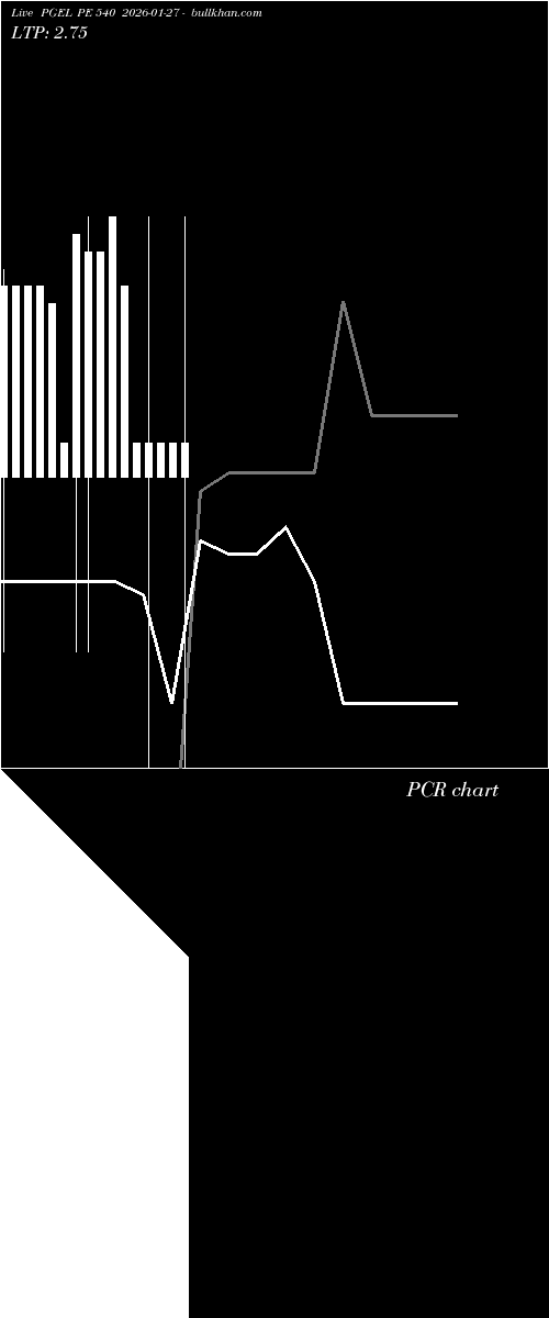  option chart PGEL PE 540 2026-01-27 