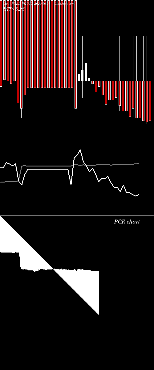  option chart PGEL PE 540 2026-06-30 
