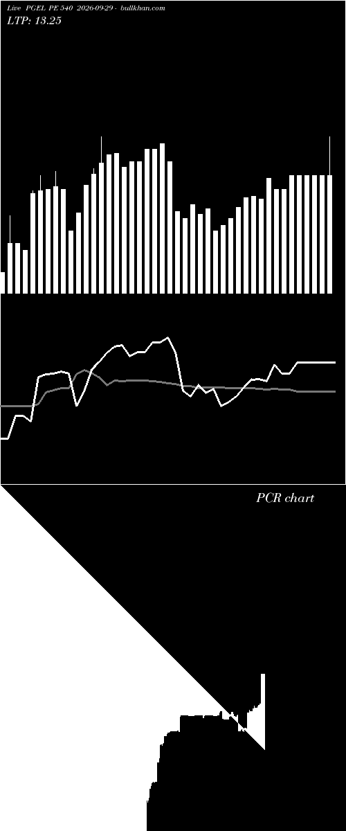  option chart PGEL PE 540 2026-09-29 