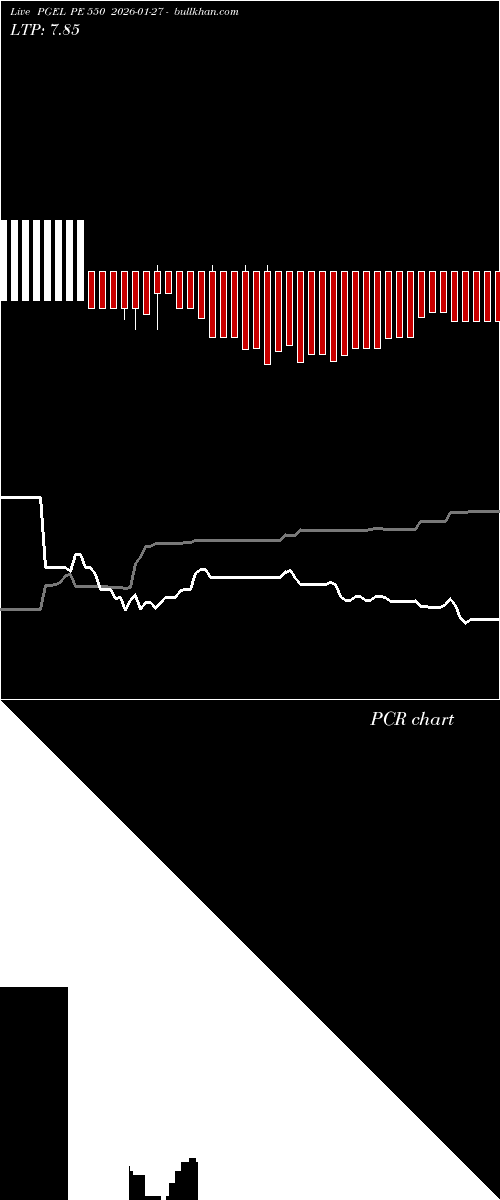  option chart PGEL PE 550 2026-01-27 