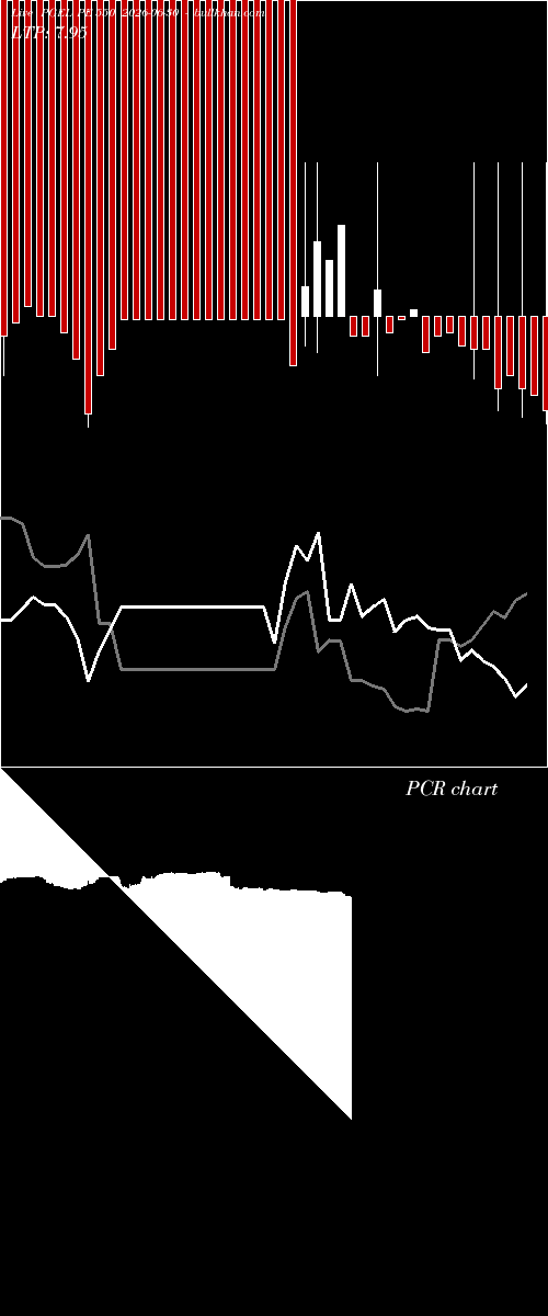  option chart PGEL PE 550 2026-06-30 