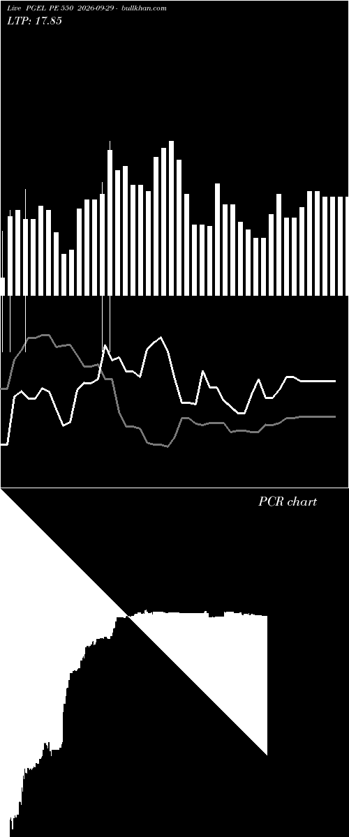  option chart PGEL PE 550 2026-09-29 