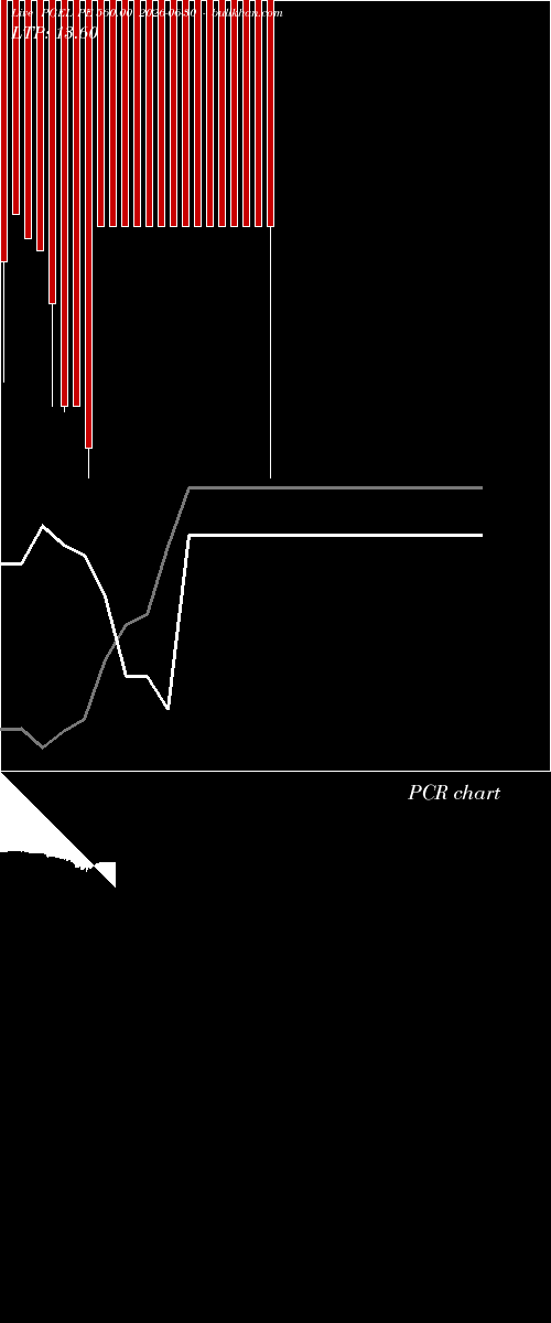 option chart PGEL PE 560.00 2026-06-30 