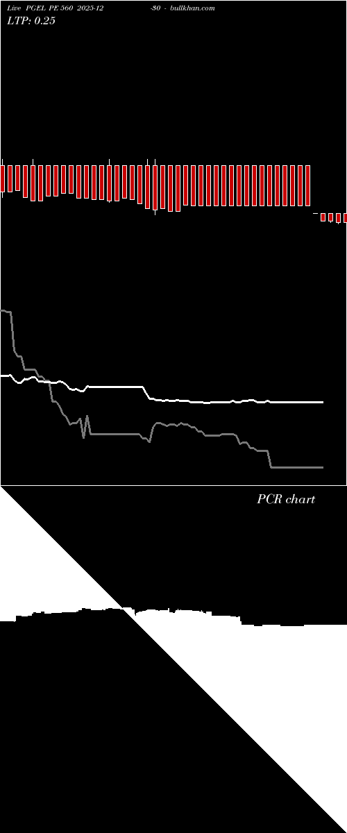  option chart PGEL PE 560 2025-12-30 