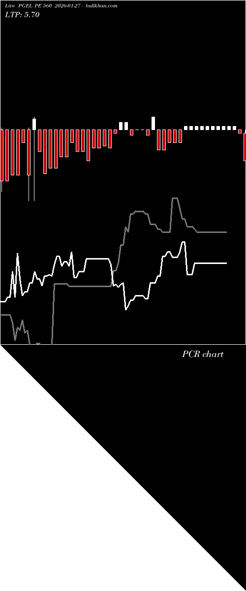  option chart PGEL PE 560 2026-01-27 