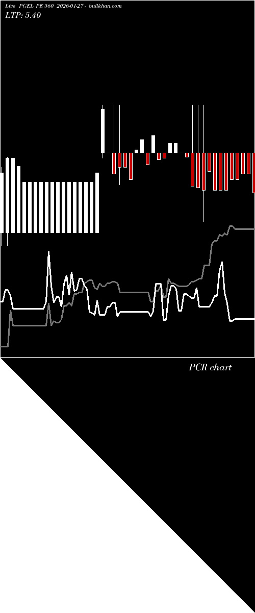  option chart PGEL PE 560 2026-01-27 