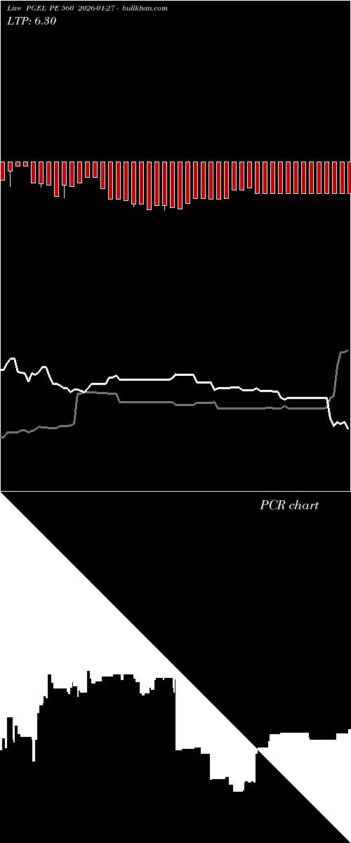  option chart PGEL PE 560 2026-01-27 