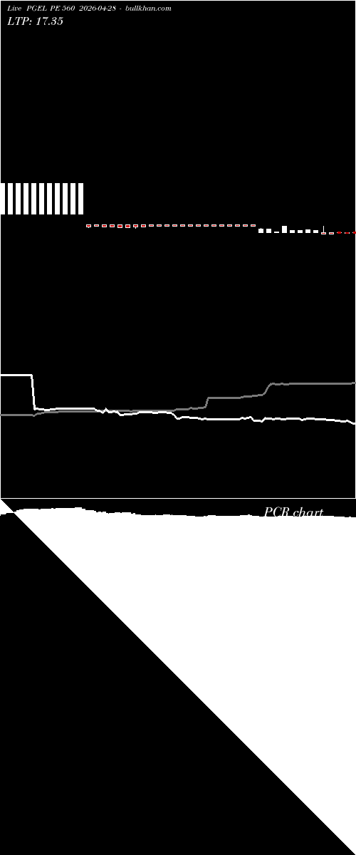  option chart PGEL PE 560 2026-04-28 