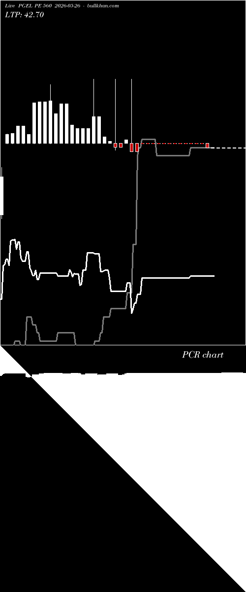  option chart PGEL PE 560 2026-05-26 