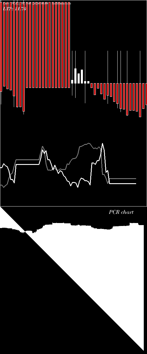  option chart PGEL PE 560 2026-06-30 