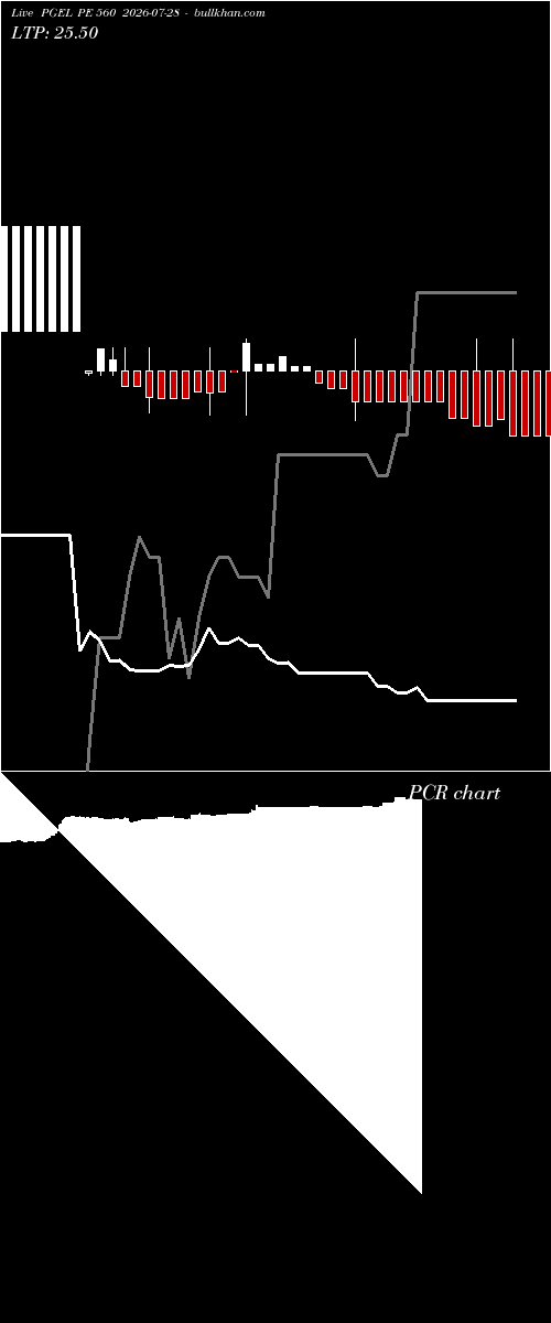  option chart PGEL PE 560 2026-07-28 