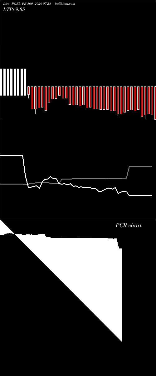  option chart PGEL PE 560 2026-07-28 