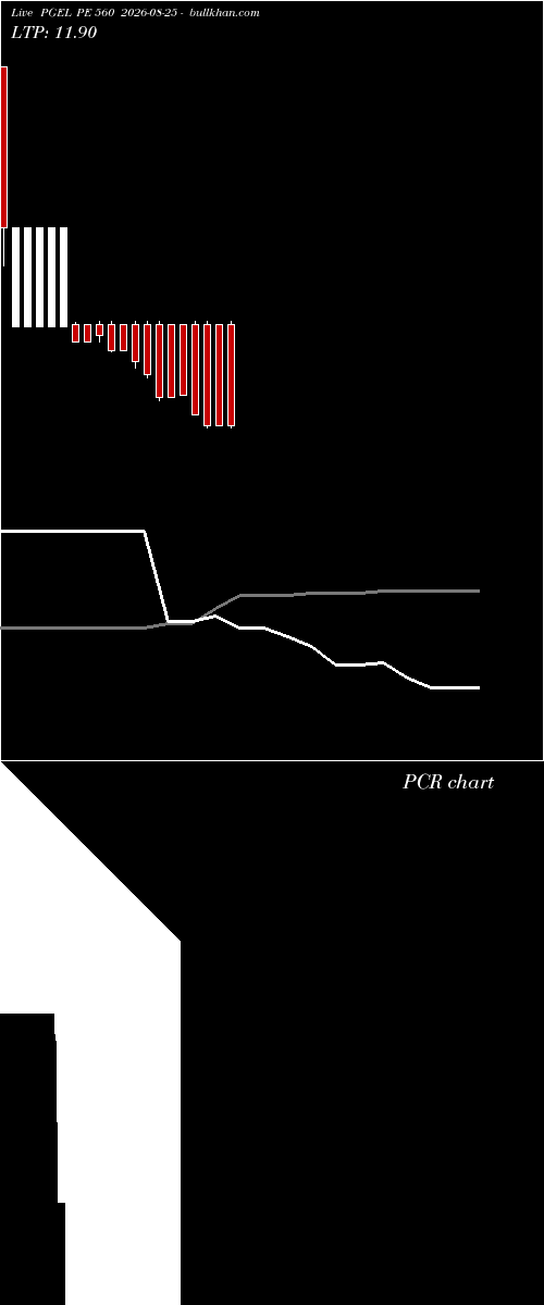  option chart PGEL PE 560 2026-08-25 