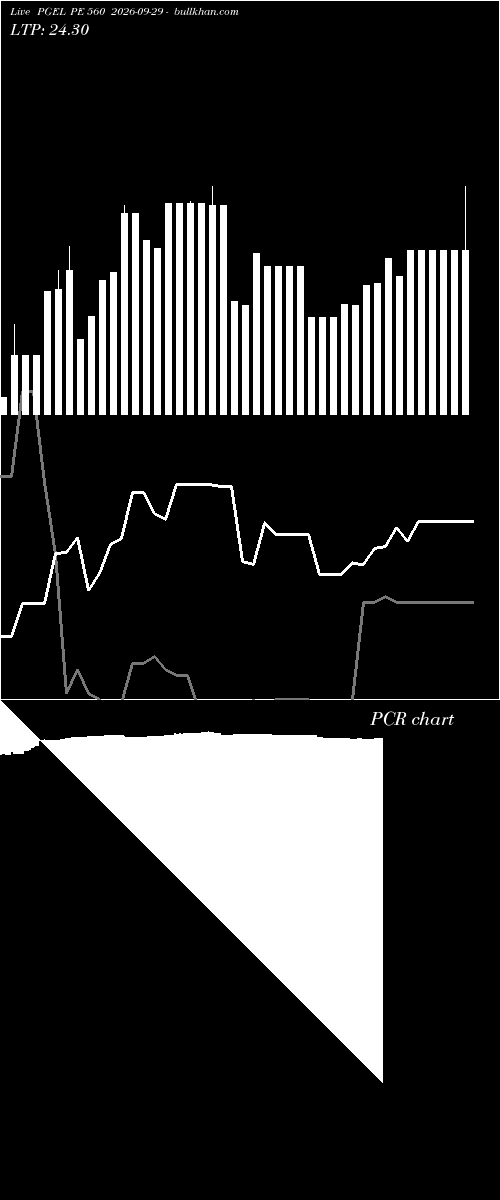  option chart PGEL PE 560 2026-09-29 