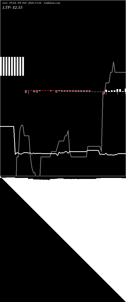  option chart PGEL PE 560 2026-11-23 