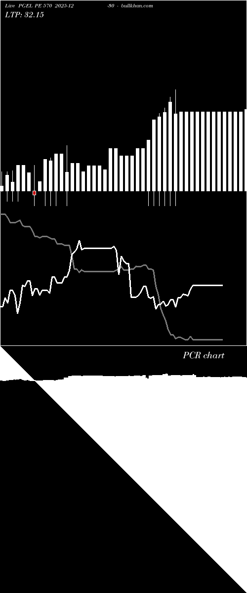  option chart PGEL PE 570 2025-12-30 