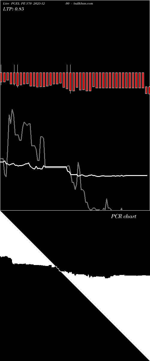  option chart PGEL PE 570 2025-12-30 