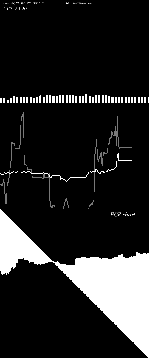  option chart PGEL PE 570 2025-12-30 