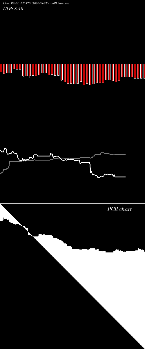  option chart PGEL PE 570 2026-01-27 