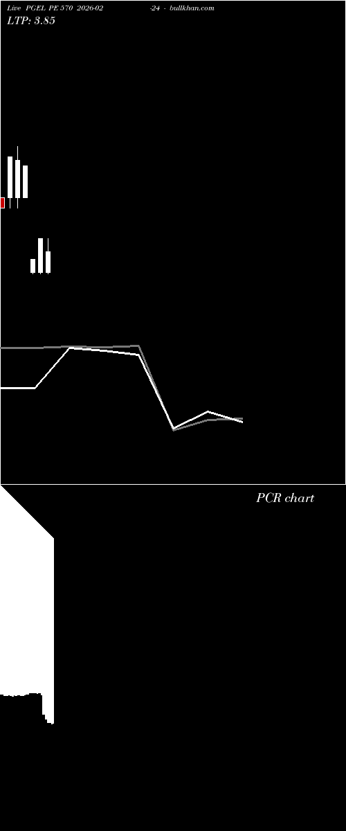  option chart PGEL PE 570 2026-02-24 