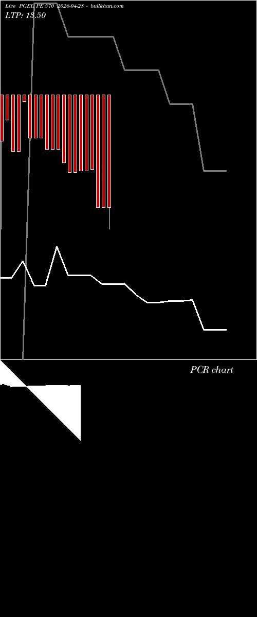  option chart PGEL PE 570 2026-04-28 