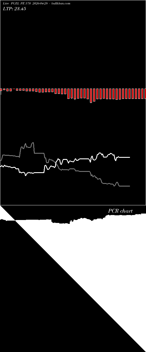  option chart PGEL PE 570 2026-04-28 