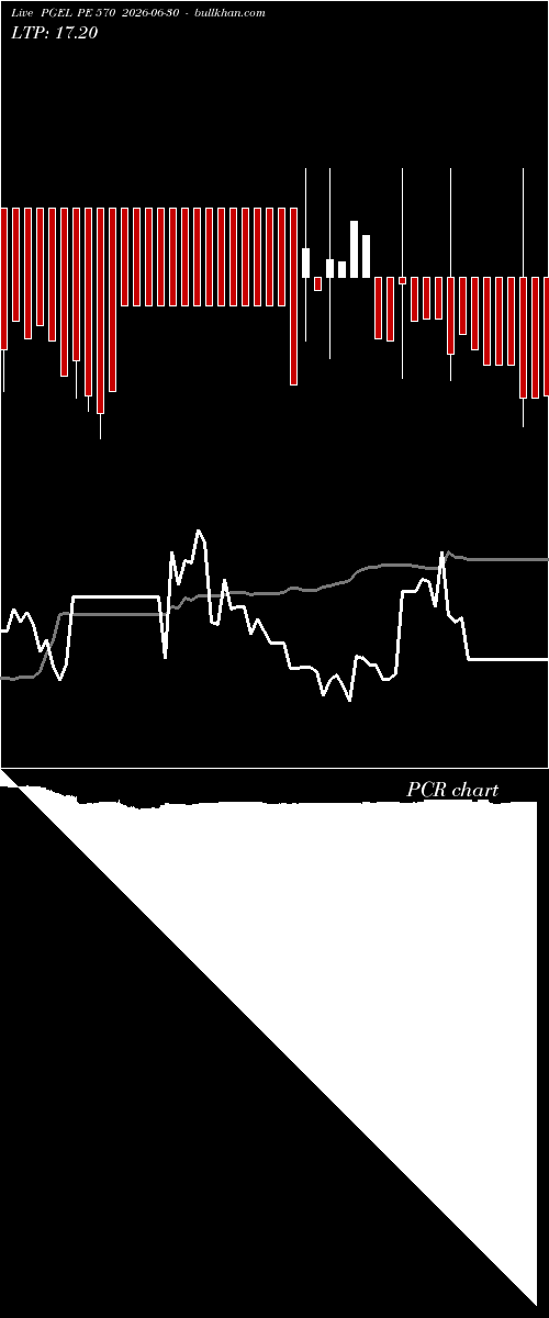  option chart PGEL PE 570 2026-06-30 