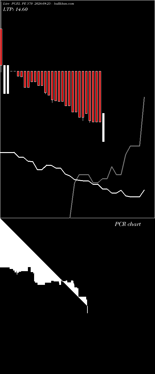  option chart PGEL PE 570 2026-08-25 