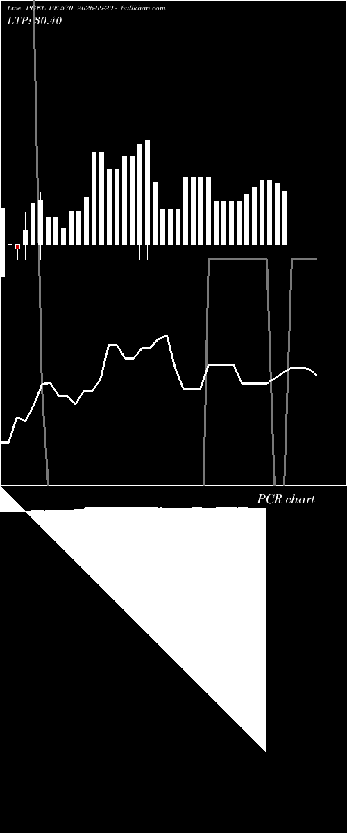  option chart PGEL PE 570 2026-09-29 