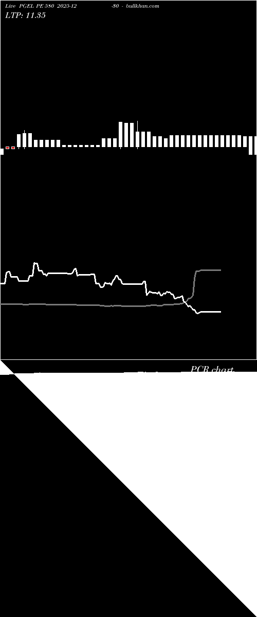  option chart PGEL PE 580 2025-12-30 