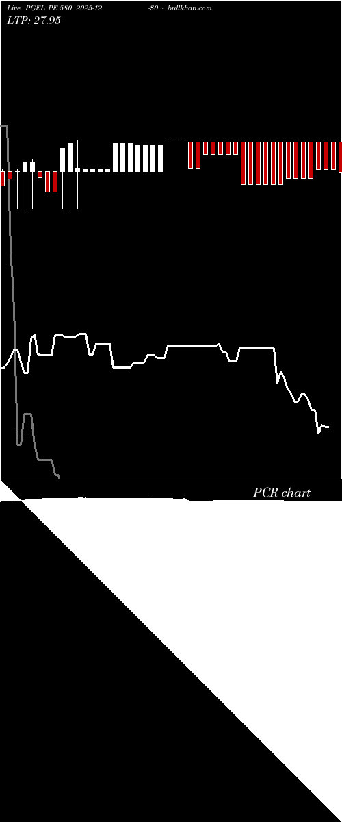  option chart PGEL PE 580 2025-12-30 