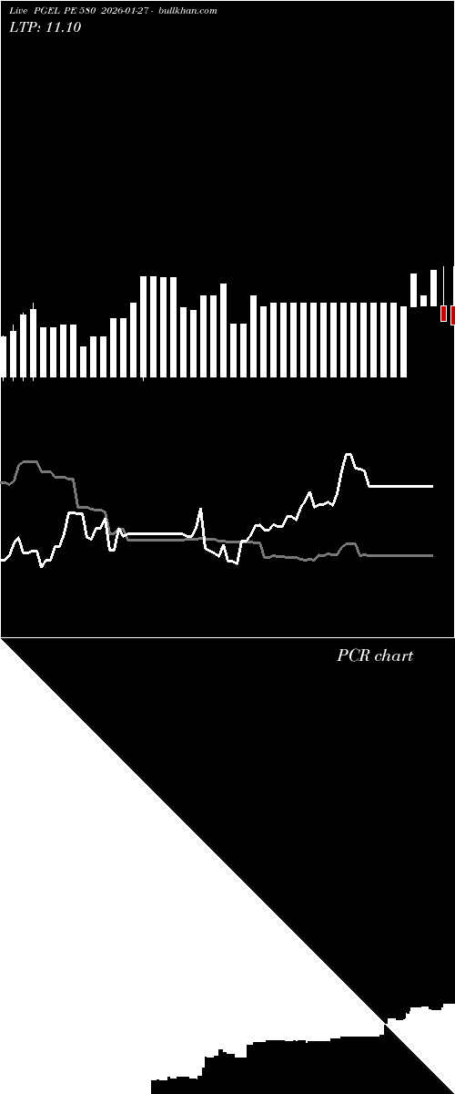  option chart PGEL PE 580 2026-01-27 