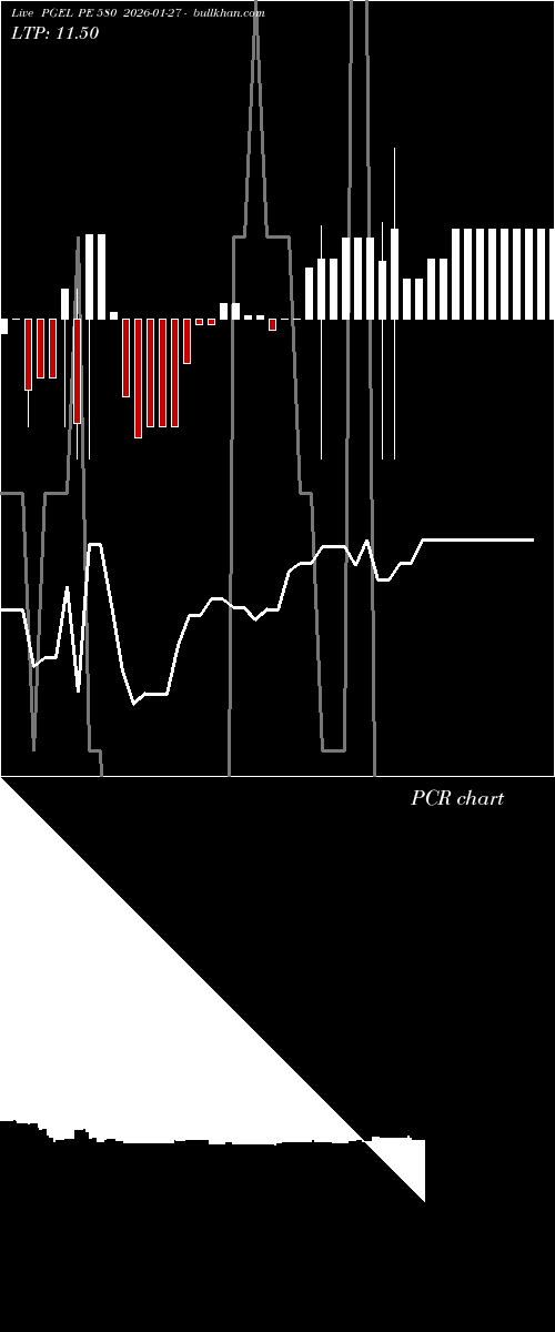  option chart PGEL PE 580 2026-01-27 