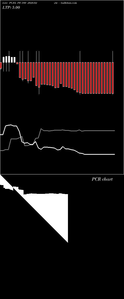  option chart PGEL PE 580 2026-02-24 