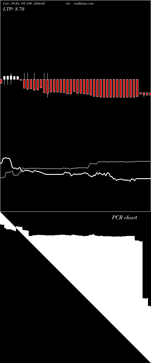  option chart PGEL PE 580 2026-02-24 