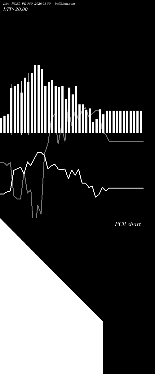  option chart PGEL PE 580 2026-03-30 