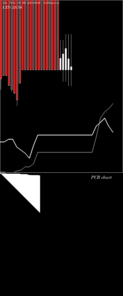  option chart PGEL PE 580 2026-06-30 