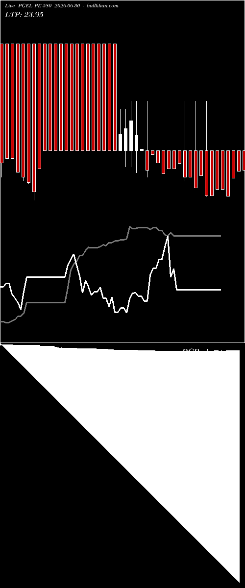  option chart PGEL PE 580 2026-06-30 