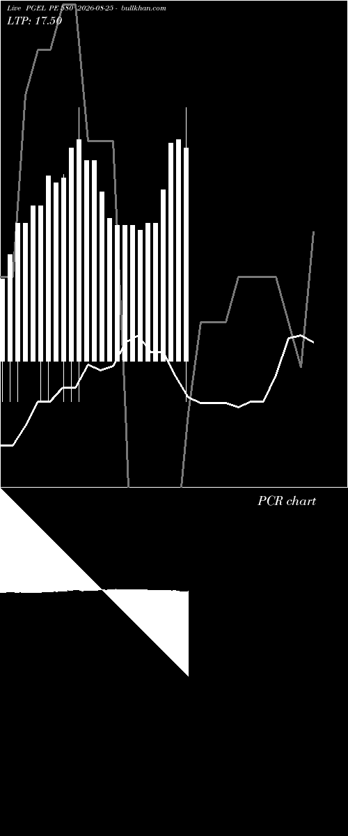  option chart PGEL PE 580 2026-08-25 
