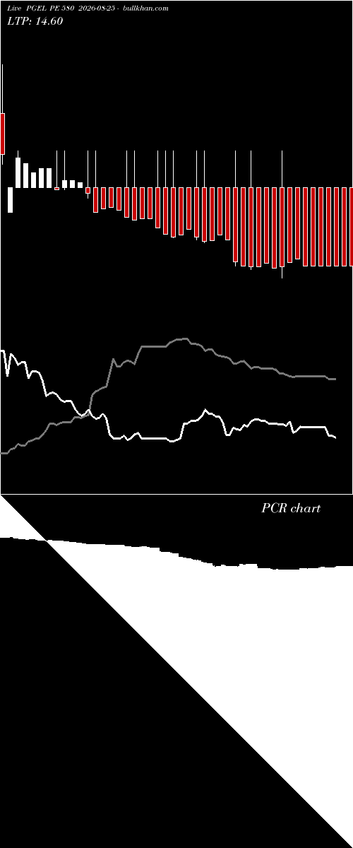  option chart PGEL PE 580 2026-08-25 