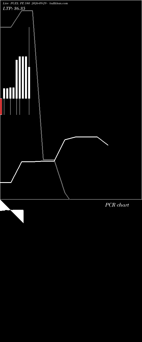  option chart PGEL PE 580 2026-09-29 