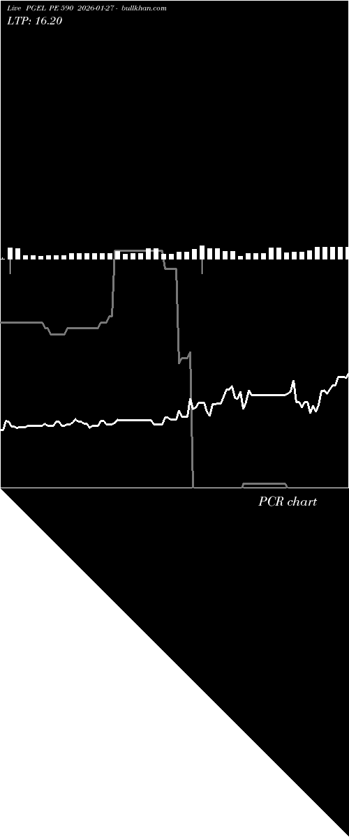  option chart PGEL PE 590 2026-01-27 