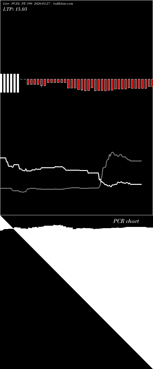  option chart PGEL PE 590 2026-01-27 
