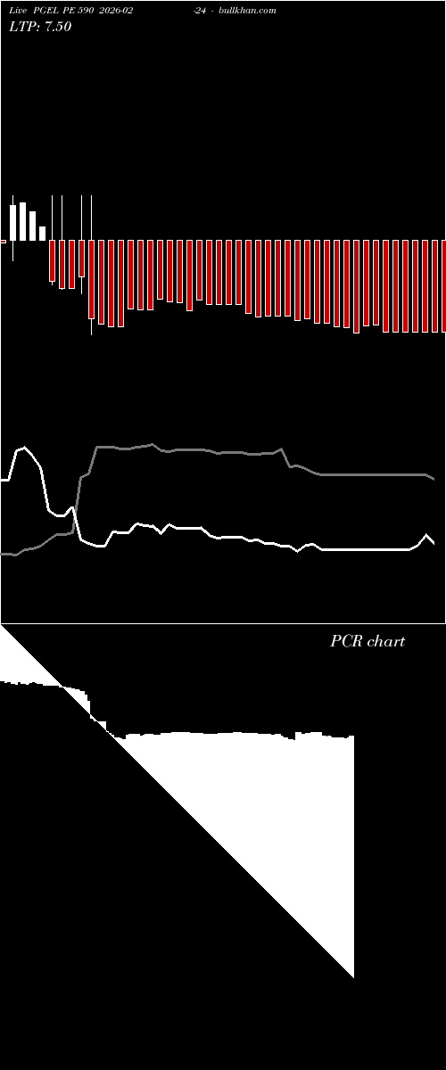  option chart PGEL PE 590 2026-02-24 