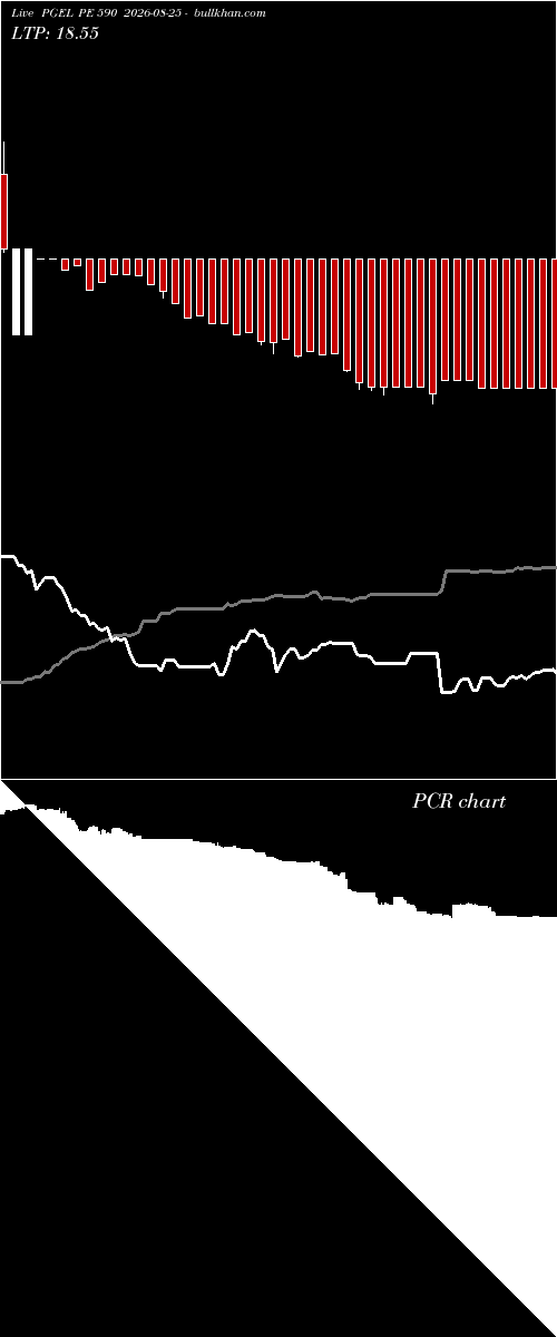 option chart PGEL PE 590 2026-08-25 