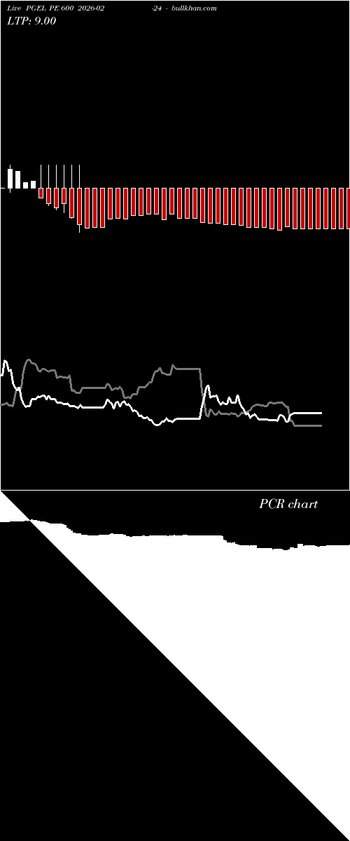  option chart PGEL PE 600 2026-02-24 
