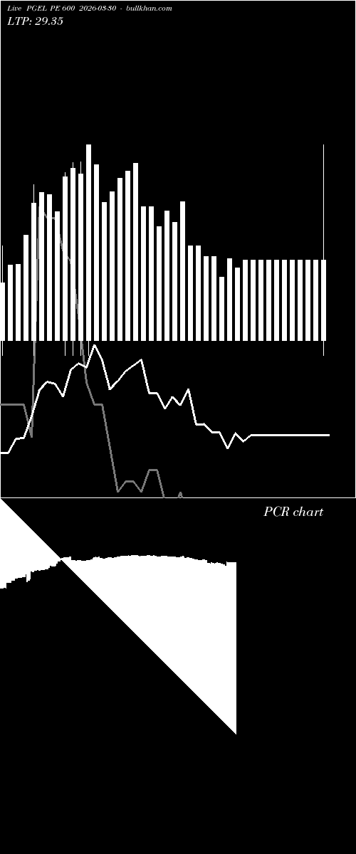  option chart PGEL PE 600 2026-03-30 