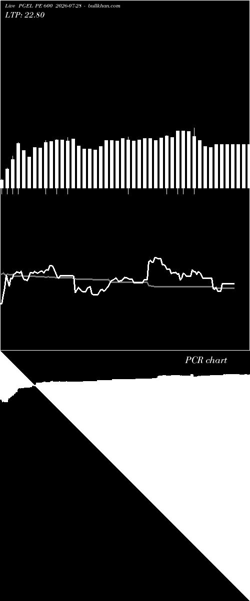 option chart PGEL PE 600 2026-07-28 